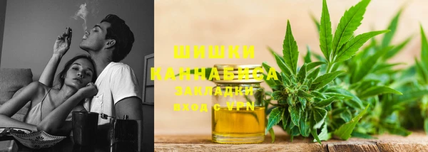 mdpv Инта