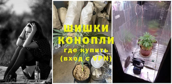 mdpv Инта
